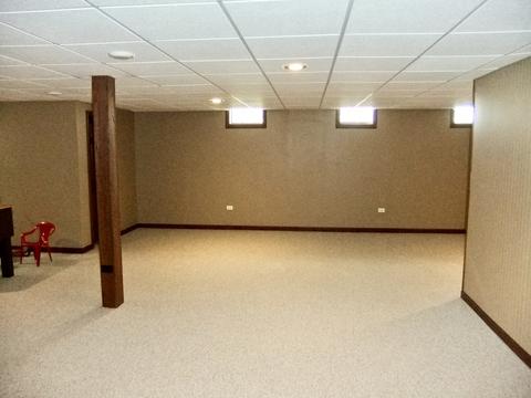 18031 S Spring Meadows Dr, Mokena, IL 60448 photo 30
