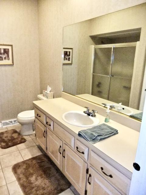18031 S Spring Meadows Dr, Mokena, IL 60448 photo 27