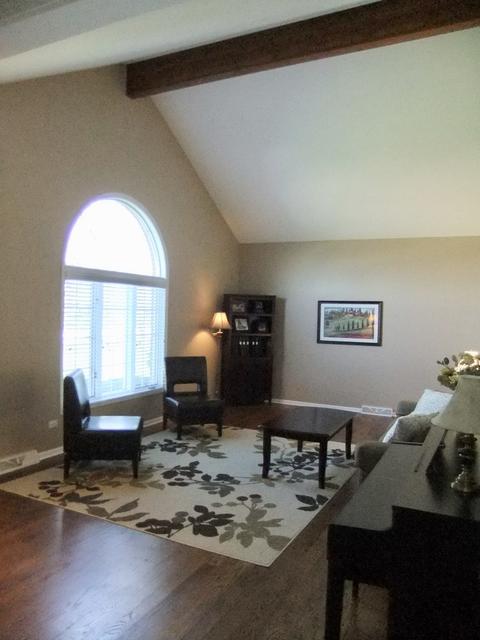 18031 S Spring Meadows Dr, Mokena, IL 60448 photo 5