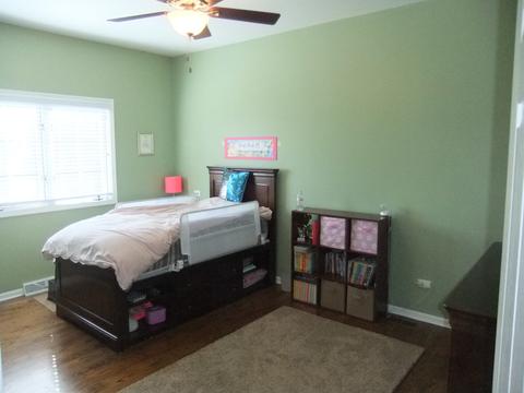 18031 S Spring Meadows Dr, Mokena, IL 60448 photo 23