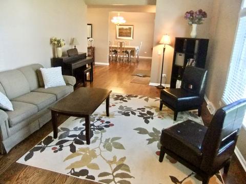 18031 S Spring Meadows Dr, Mokena, IL 60448 photo 6
