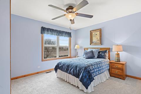 13160 Blackstone Ln, Plainfield, IL 60585 photo 19