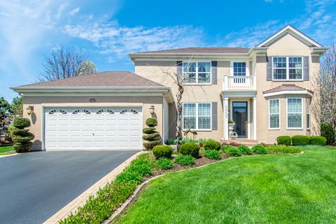 25230 Trelliage Ave, Plainfield, IL 60585 photo 1