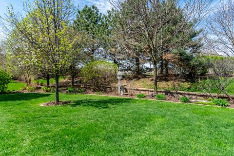 25230 Trelliage Ave, Plainfield, IL 60585 photo 17