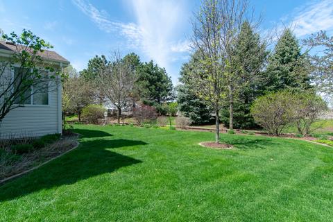 25230 Trelliage Ave, Plainfield, IL 60585 photo 15