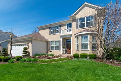25230 Trelliage Ave, Plainfield, IL 60585 photo 3