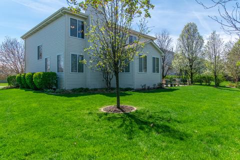 25230 Trelliage Ave, Plainfield, IL 60585 photo 8