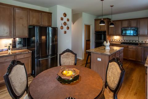 25230 Trelliage Ave, Plainfield, IL 60585 photo 25