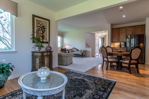 25230 Trelliage Ave, Plainfield, IL 60585 photo 28