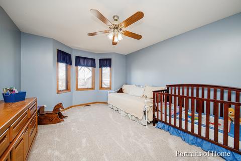 11235 Abbey Rd, Mokena, IL 60448 photo 16