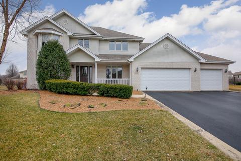 11235 Abbey Rd, Mokena, IL 60448 photo 1