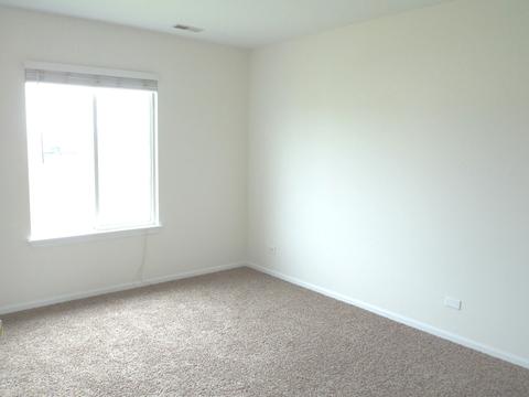 4407 Deames St, Plano, IL 60545 photo 11