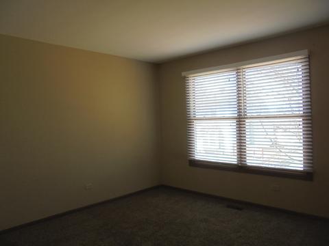 1901 Chestnut Hill Rd, Plainfield, IL 60586 photo 11