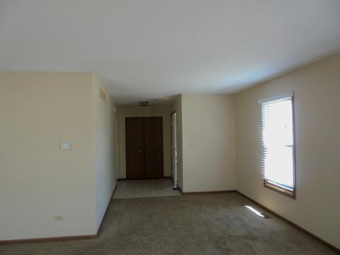 1901 Chestnut Hill Rd, Plainfield, IL 60586 photo 6
