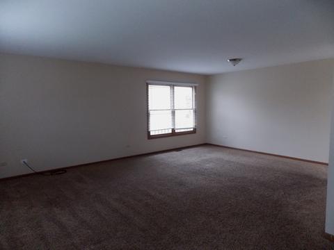 1901 Chestnut Hill Rd, Plainfield, IL 60586 photo 8