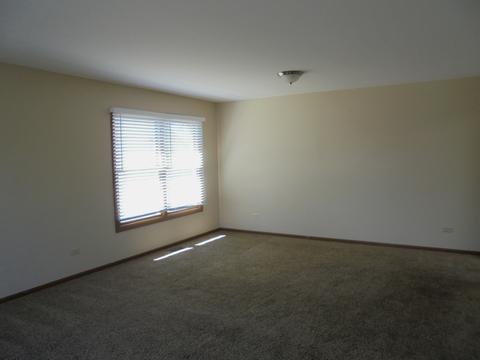 1901 Chestnut Hill Rd, Plainfield, IL 60586 photo 4