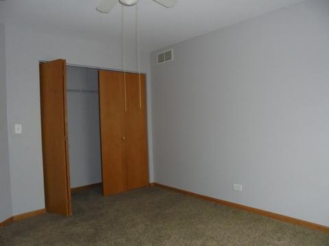 4901 Clover Ln, Plainfield, IL 60586 photo 13