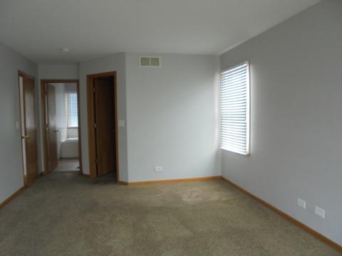 4901 Clover Ln, Plainfield, IL 60586 photo 10