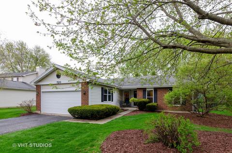 720 Timberwood Ln, Algonquin, IL 60102 photo 1