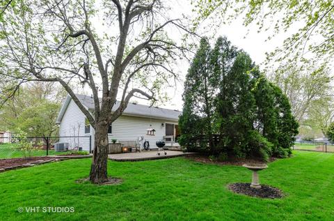 720 Timberwood Ln, Algonquin, IL 60102 photo 13