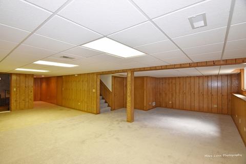 118 Deer Run Ln, Elgin, IL 60120 photo 21
