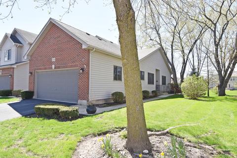 118 Deer Run Ln, Elgin, IL 60120 photo 1