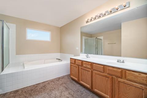 285 Castine Way, Beecher, IL 60401 photo 25