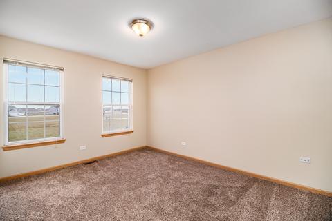 285 Castine Way, Beecher, IL 60401 photo 19