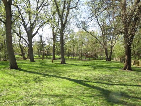 153 E 2nd St, Braidwood, IL 60408 photo 6