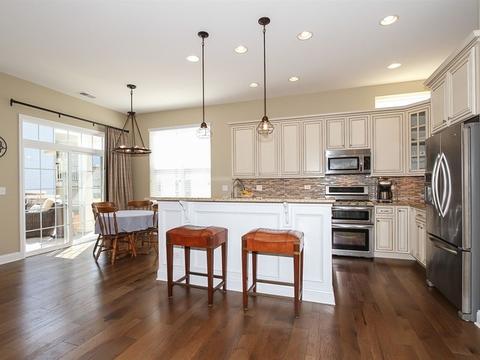 3883 Eagle Ridge Dr, Elgin, IL 60124 photo 5