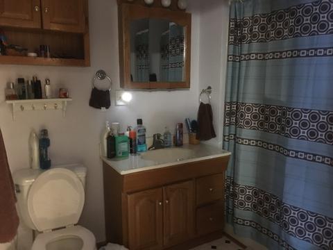 320 E Seminole St, Dwight, IL 60420 photo 6