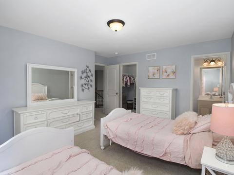 13425 Lindengate Ct, Plainfield, IL 60585 photo 23