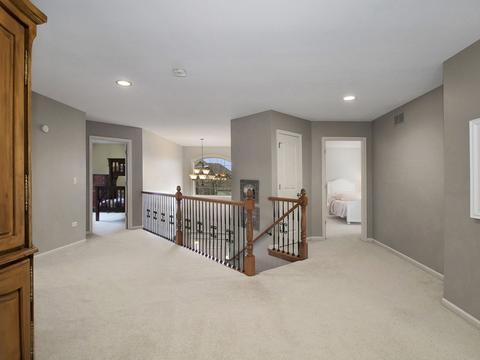 13425 Lindengate Ct, Plainfield, IL 60585 photo 29