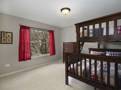 13425 Lindengate Ct, Plainfield, IL 60585 photo 27