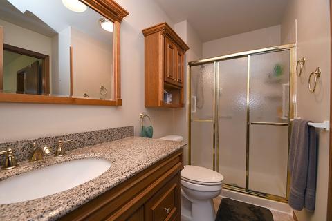 21257 Silktree Cir, Plainfield, IL 60544 photo 11