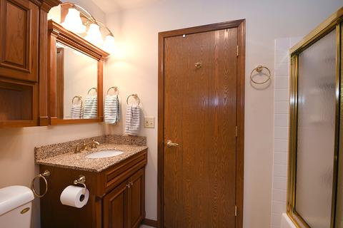 21257 Silktree Cir, Plainfield, IL 60544 photo 14