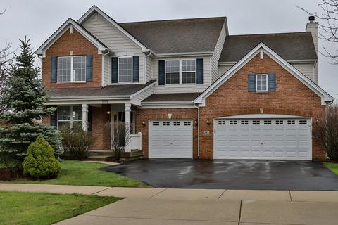 299 Monument Rd, Elgin, IL 60124 photo 1