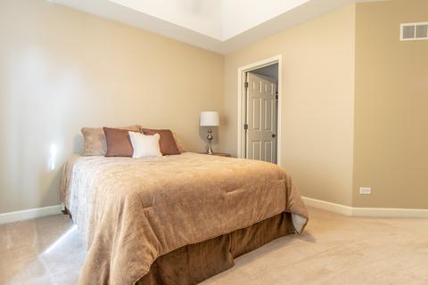 13436 Kerr St, Plainfield, IL 60585 photo 38