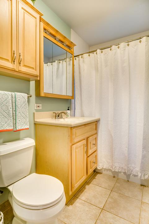 397 E Webster Ave, Elmhurst, IL 60126 photo 11