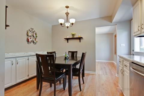 906 E Golfhurst Ave, Mount Prospect, IL 60056 photo 11