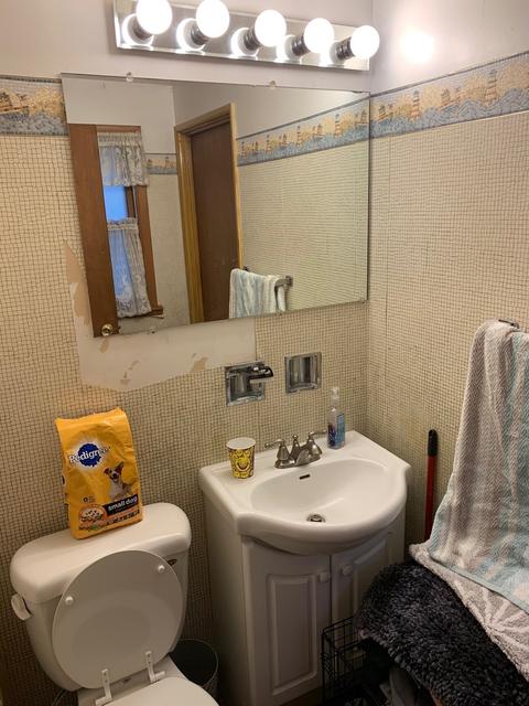2755 E 130th St, Chicago, IL 60633 photo 12