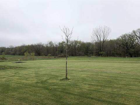 2833 E 28th Rd, Marseilles, IL 61341 photo 32
