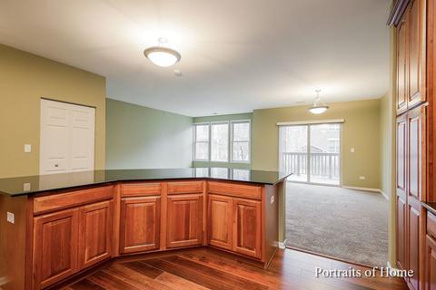 271 E Railroad Ave #104, Bartlett, IL 60103 photo 7