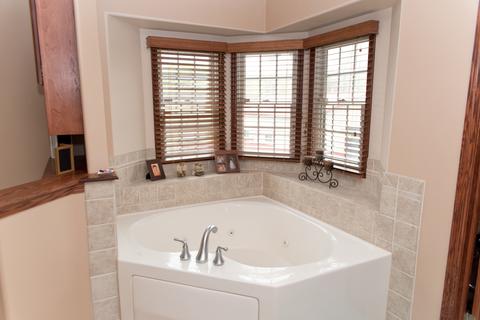 3773 Spring Run Ln, Morris, IL 60450 photo 23