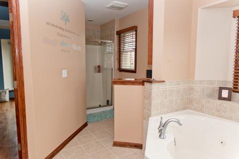 3773 Spring Run Ln, Morris, IL 60450 photo 24