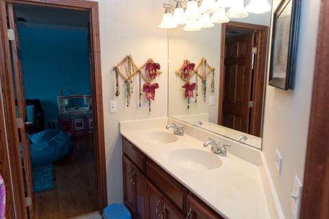 3773 Spring Run Ln, Morris, IL 60450 photo 32