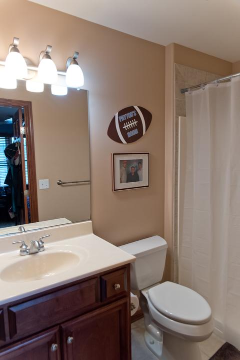 3773 Spring Run Ln, Morris, IL 60450 photo 31