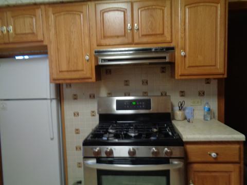 15006 Hamlin Ave, Midlothian, IL 60445 photo 6