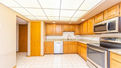1591 E Thacker St #302, Des Plaines, IL 60016 photo 11