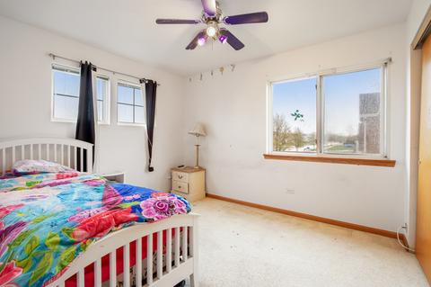 14357 Carriage Station Pl, Lockport, IL 60441 photo 21